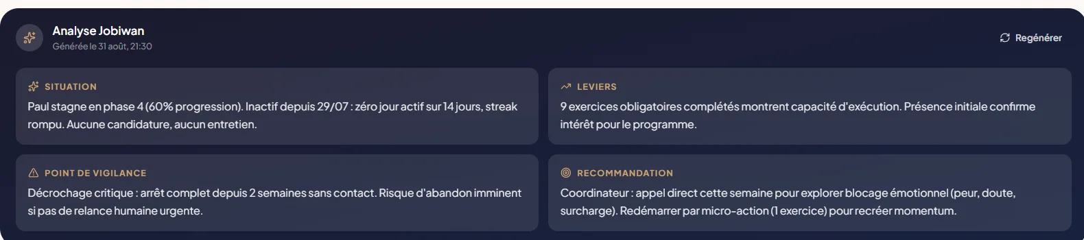 L'Analyse Jobiwan d'un accompagné : situation, leviers, point de vigilance, recommandation